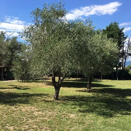 Fragolina Per Due Holiday home *